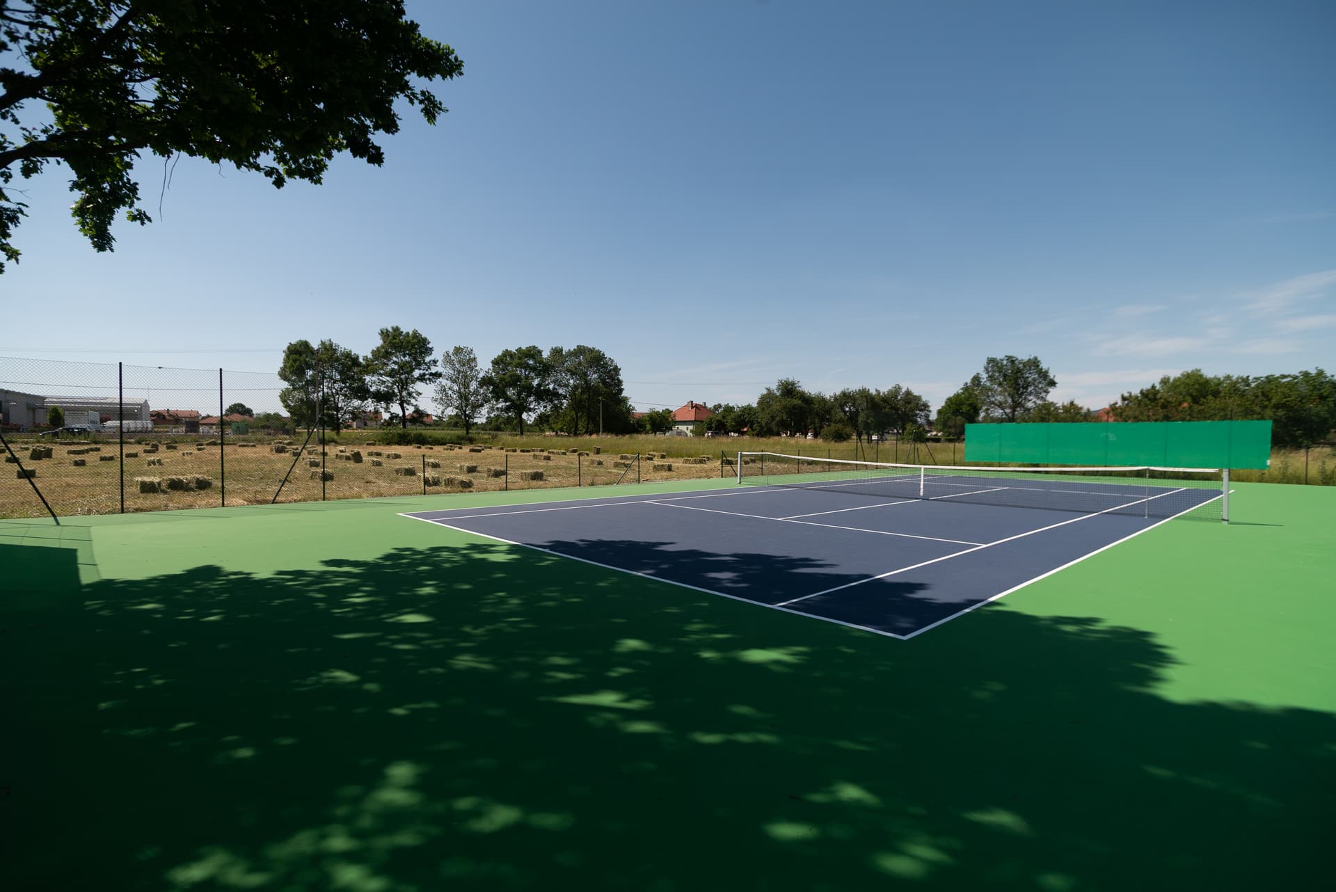 Tenis